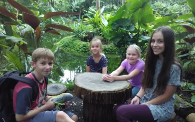 Sightseeing in Singapore