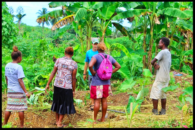 Malaita Village Life Part Two: Sources of Food
