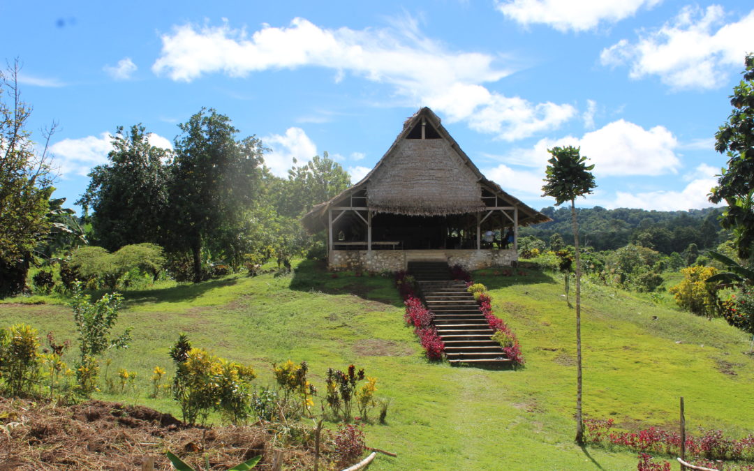 Growing Up in the Solomons